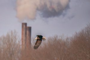 Photo environmental consulting