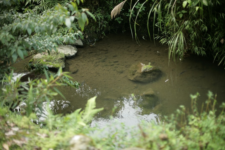 Photo environmental consulting