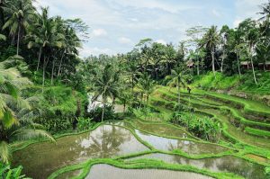 Photo local climate adaptation